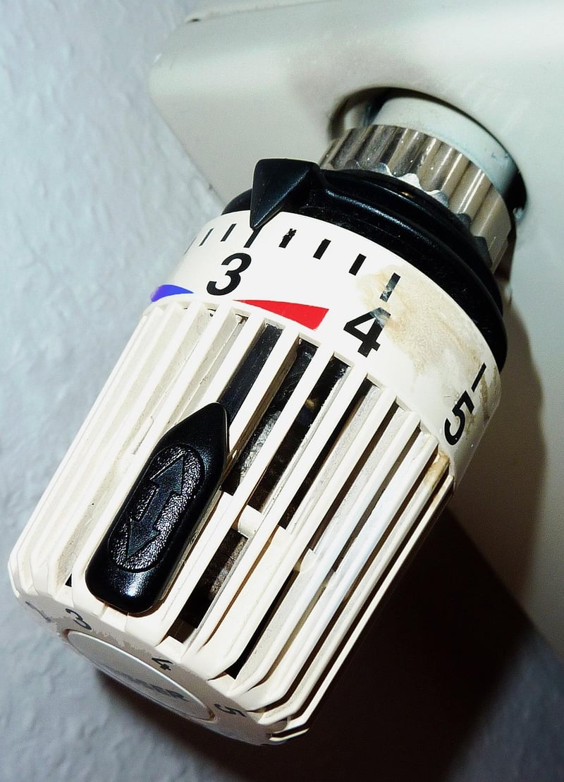 Temperature Regulation