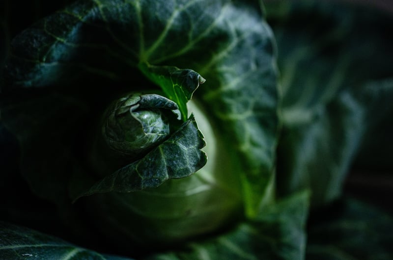 Farm Agriculture